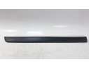 MOLDURA 808217103R 808217103R 