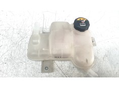DEPOSITO EXPANSION 25430G2500 25430G2500 