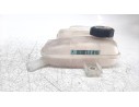 DEPOSITO EXPANSION 25430G2500 25430G2500 
