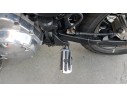 ESTRIBO LATERAL 3303299 3303299 