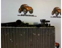 RADIADOR AGUA 2531034000 53259 