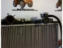 RADIADOR AGUA 2531034000 53259 