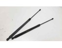 AMORTIGUADORES MALETERO / PORTON 55CM440NM 55CM440NM 
