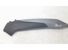 MOLDURA 64308ALJ8E10 