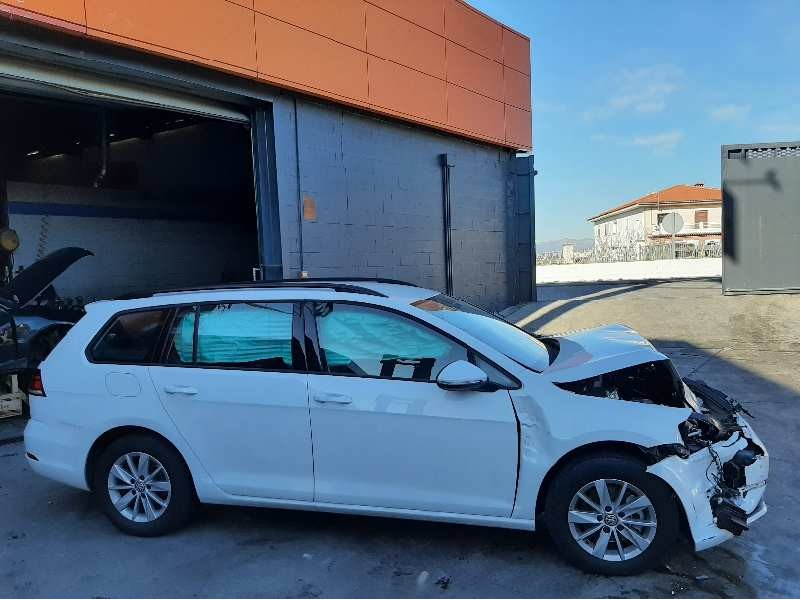 volkswagen golf vii variant (bv5) del año 2019